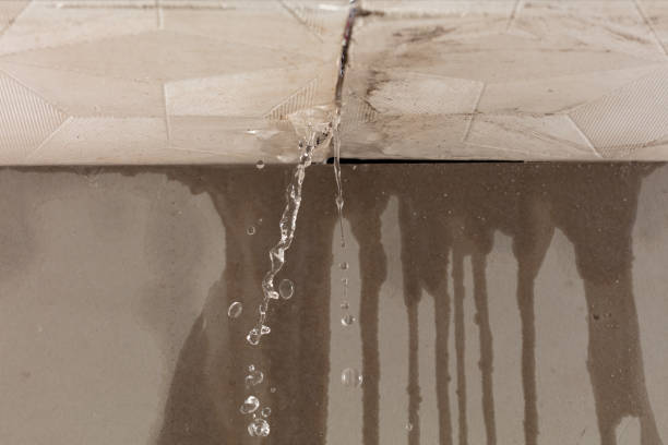 Professional Water Extraction technician working in Reading, MI